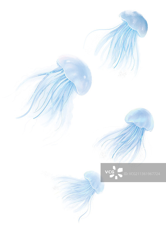 插画素材海洋环保水母动物手绘可爱清新图片素材
