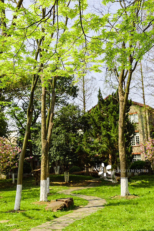 江苏苏州大学图片素材