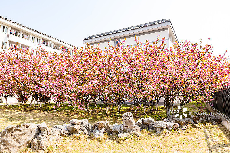 江苏苏州大学图片素材