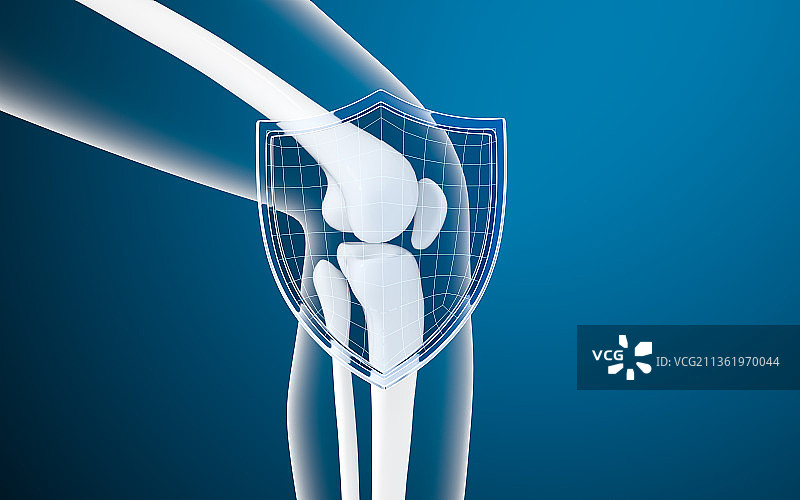 保护骨骼概念3D渲染图片素材