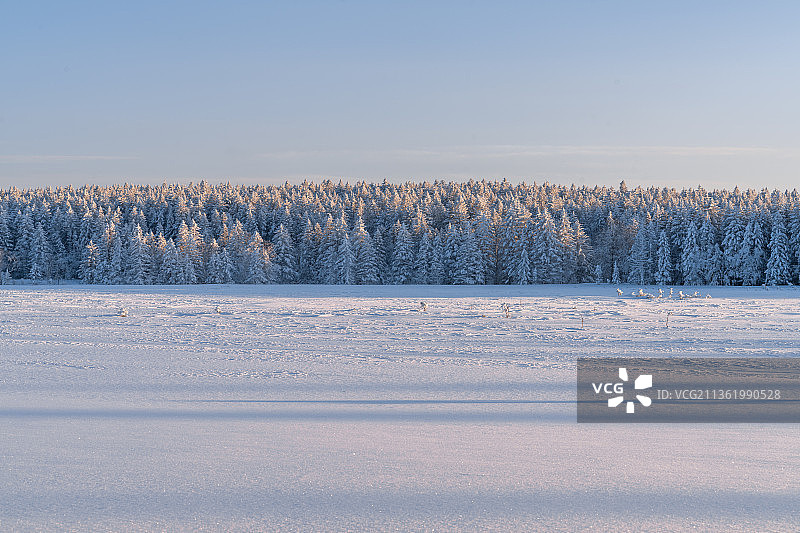 冬季的延边老里克湖林海雪原日落风光图片素材