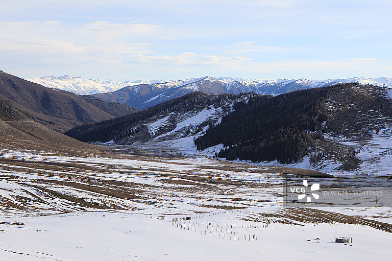 新疆贾登峪国家森林公园图片素材