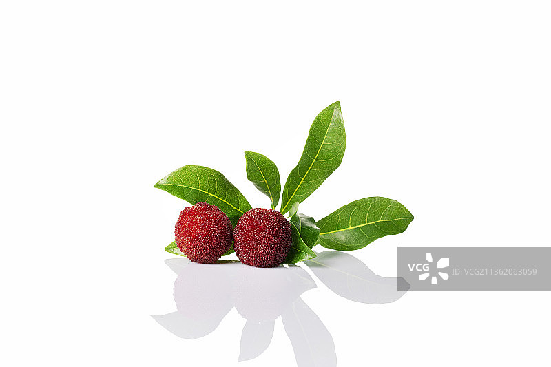 仙居东魁杨梅图片素材