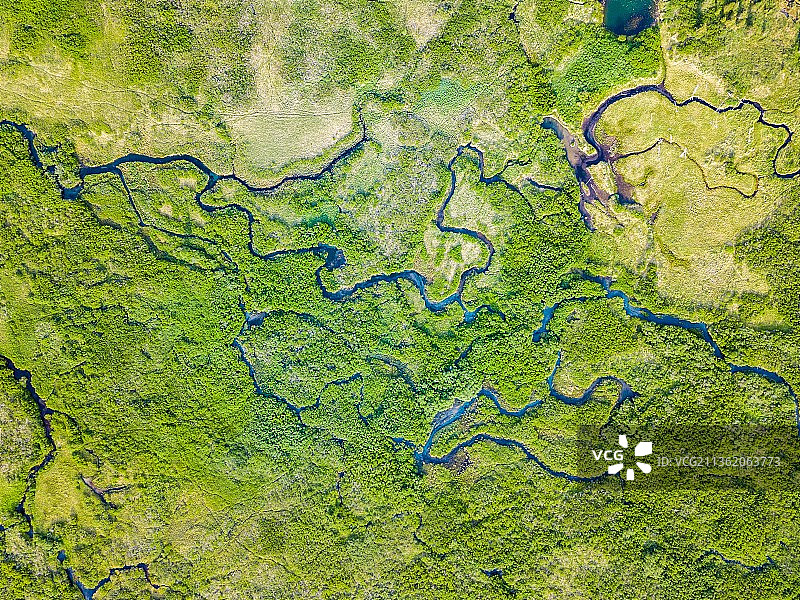 夏季的阿拉斯加图片素材