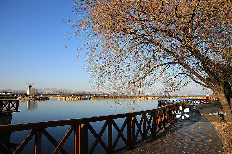 河北北戴河鸽子窝公园图片素材