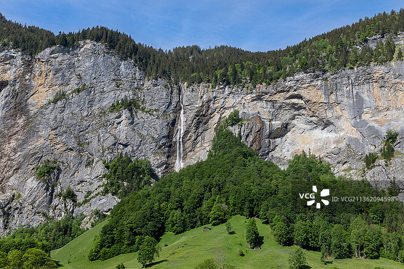 瑞士劳特布龙嫩的松树风景图片素材