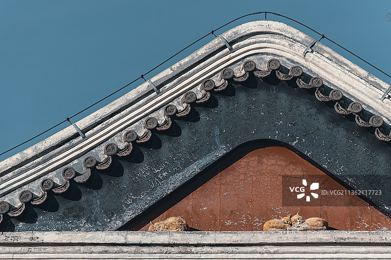 房檐上的猫图片素材