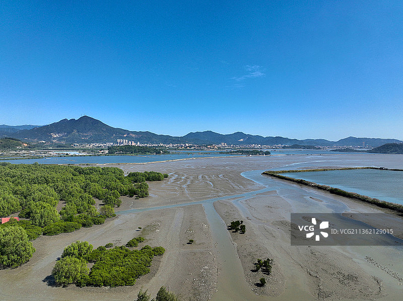 广东省惠州市惠东县稔山红树林湿地公园航拍图片素材