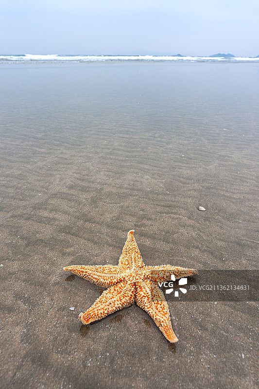 上川岛图片素材