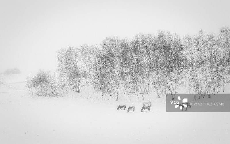 坝上风光图片素材