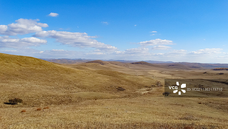 新疆草原  牧场 畜牧 山水林田湖草图片素材