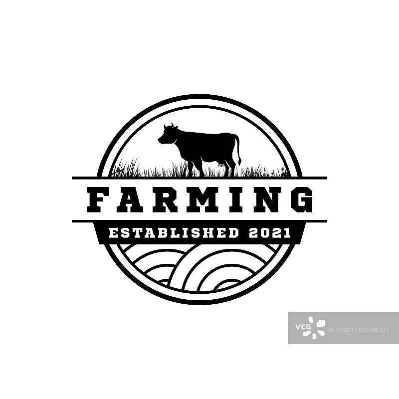 复古安格斯牛标志畜牧标签图片素材