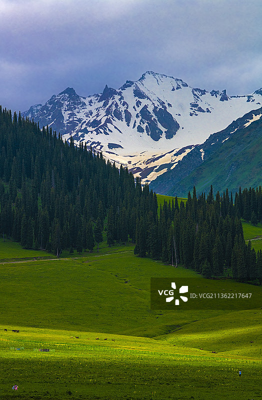 雪山草原那拉提图片素材