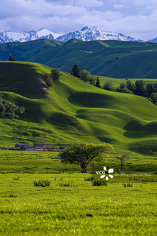 那拉提草原图片素材