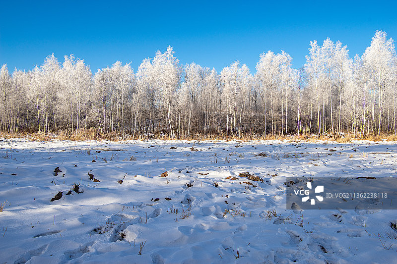 中国黑龙江黑河逊克县大平台库尔滨冬季雾淞景观图片素材