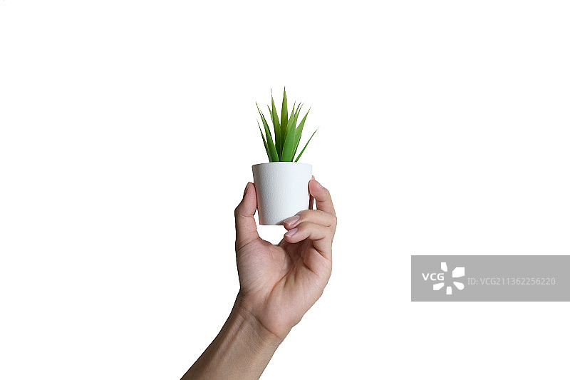 女子手拿盆栽，背景为白色图片素材