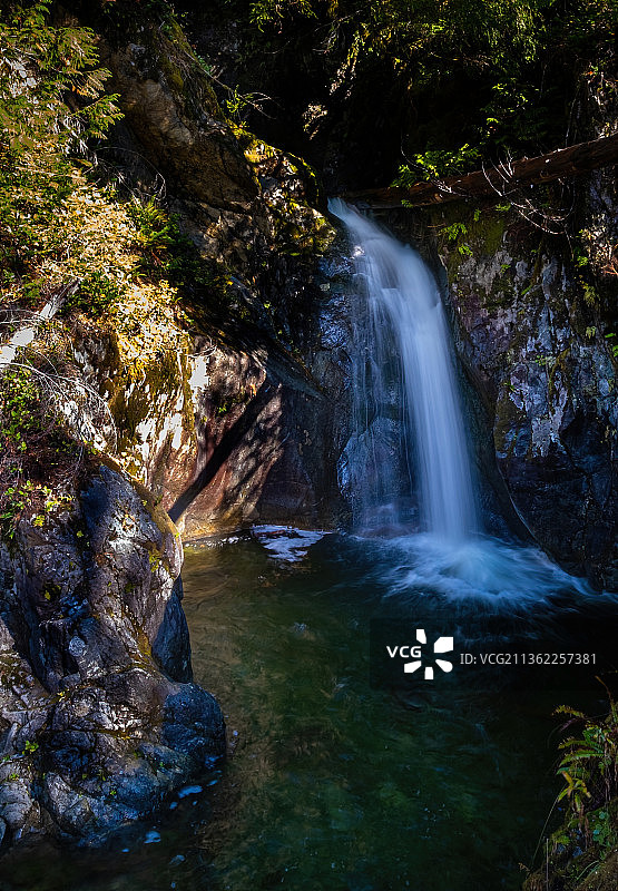 隐藏的瀑布，森林中瀑布的风景，加拿大伦弗鲁港图片素材
