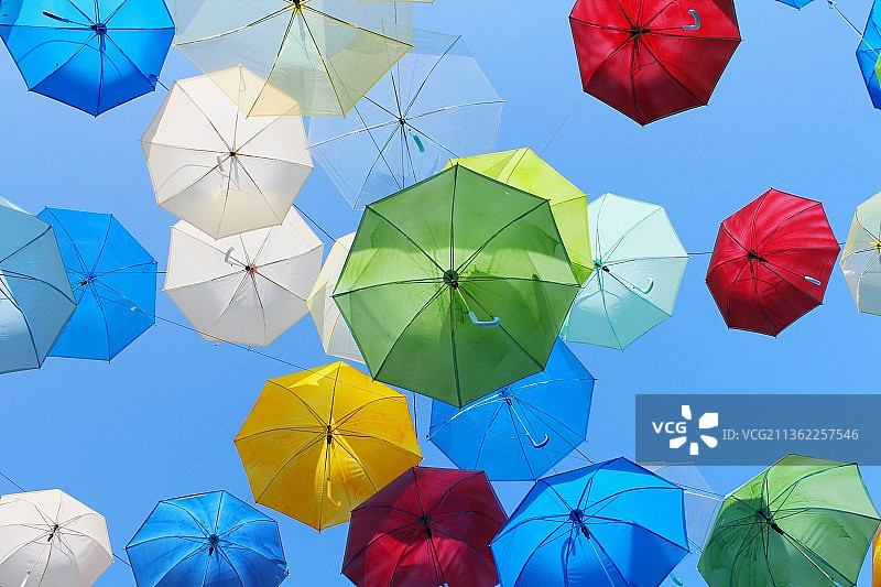 草莓农场的精美大胆设计图片素材