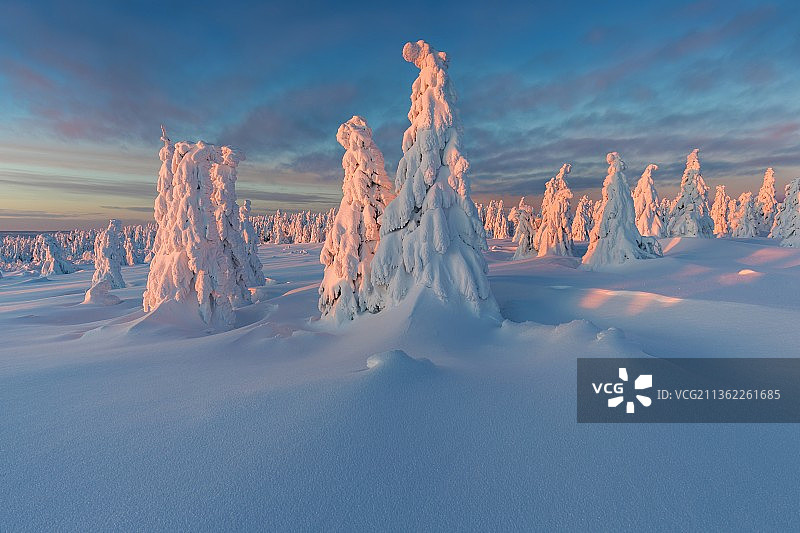 喀尔巴阡山脉雪景全景（斯洛伐克）图片素材