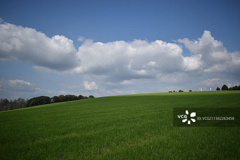对着天空的风景图片素材