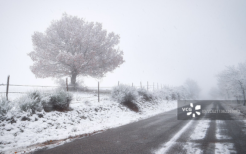 意大利马切拉塔卡斯特莱蒙多冬日空旷的雪路图片素材