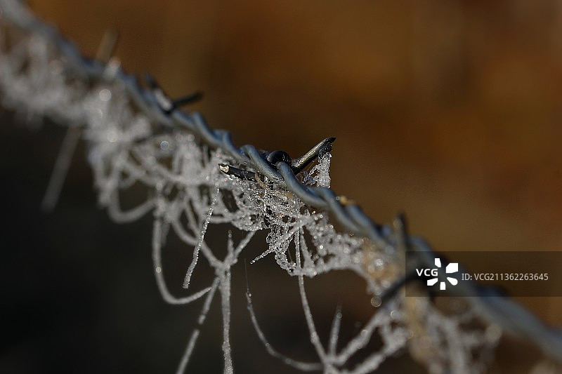 带刺铁丝网特写，法国图片素材