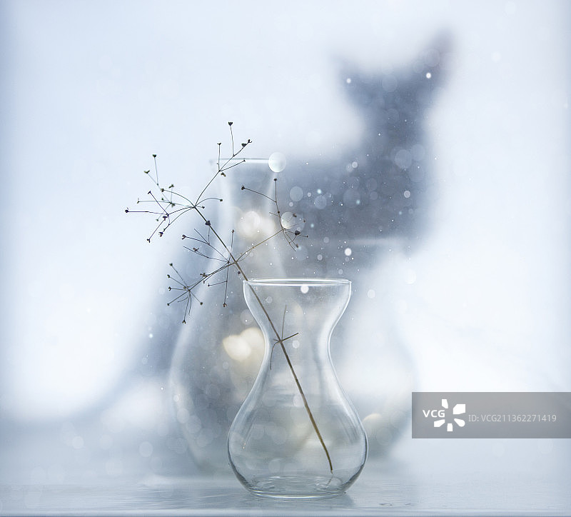 窗户上的斯芬克斯猫剪影与玻璃静物图片素材