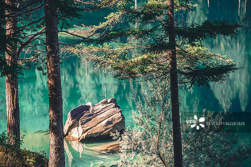 镜湖，森林中的树木图片素材