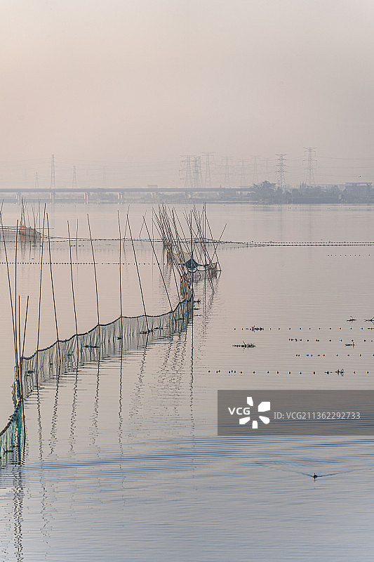 清晨日出瑶湖渔业养殖区，捕捞图片素材