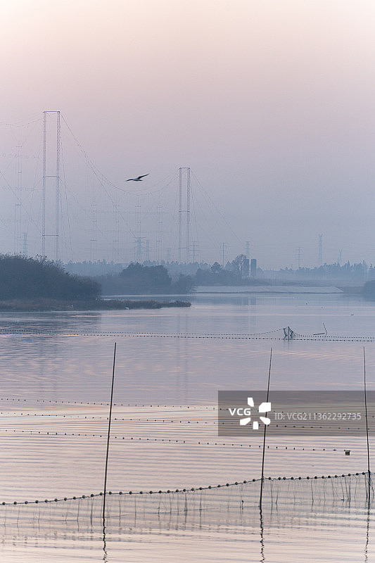 清晨日出瑶湖渔业养殖区，捕捞图片素材