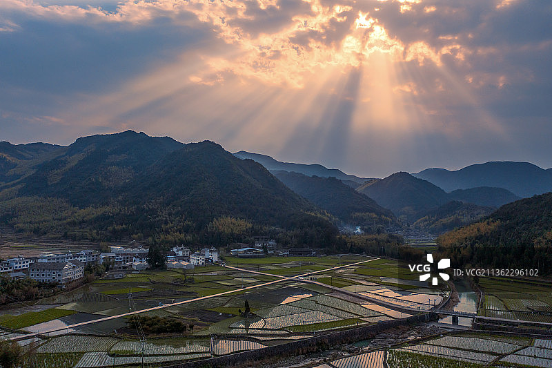 浙江省丽水市景宁畲族自治县景南乡上标村茭白种植区图片素材