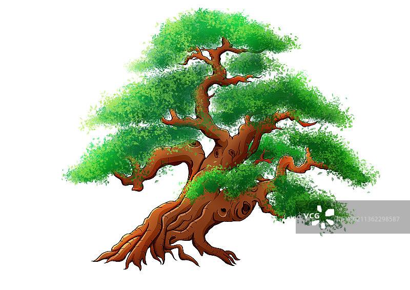 一棵松树图片素材