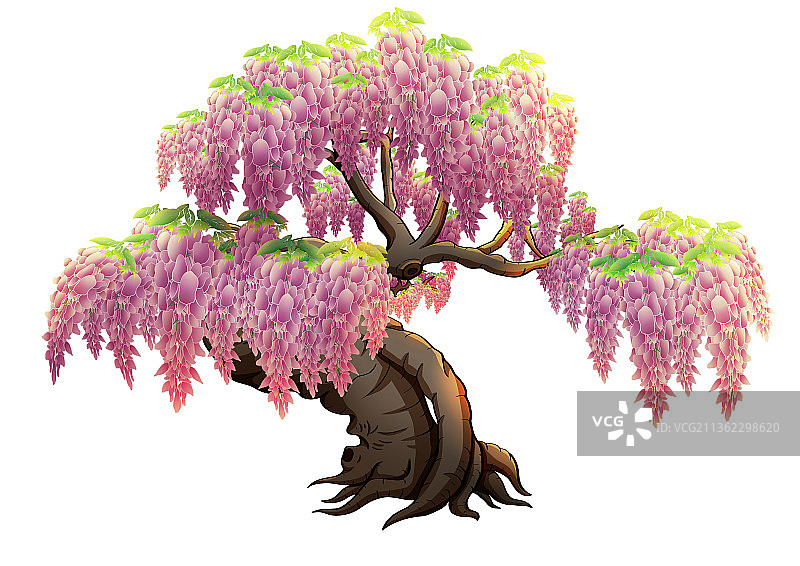 一颗紫藤图片素材