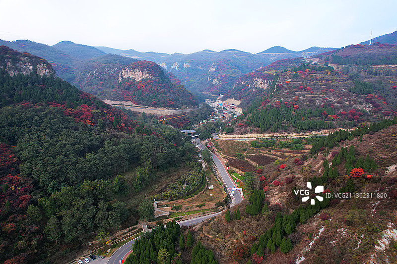 山东淄博红叶柿岩风景区图片素材
