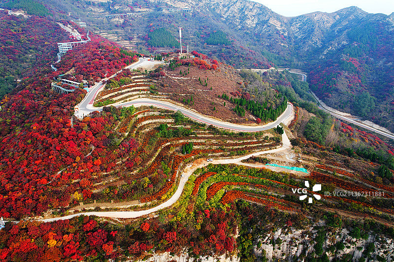 山东淄博红叶柿岩风景区图片素材