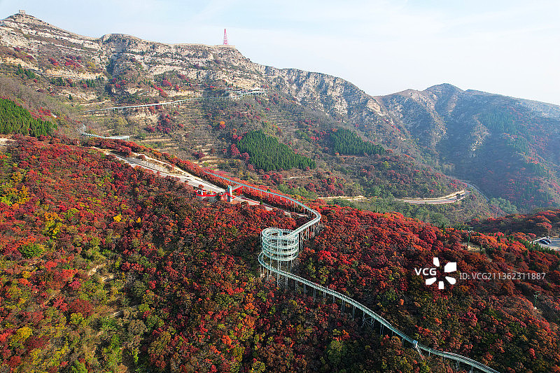 山东淄博红叶柿岩风景区图片素材