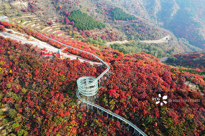 山东淄博红叶柿岩风景区图片素材