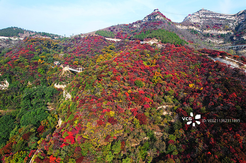 山东淄博红叶柿岩风景区图片素材