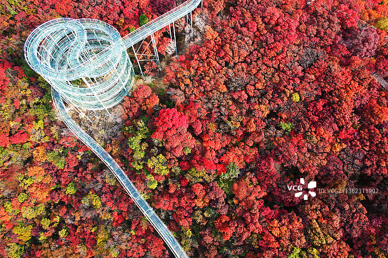 山东淄博红叶柿岩风景区图片素材