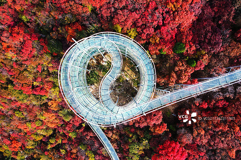 山东淄博红叶柿岩风景区图片素材