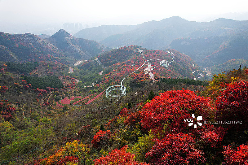 山东淄博红叶柿岩风景区图片素材