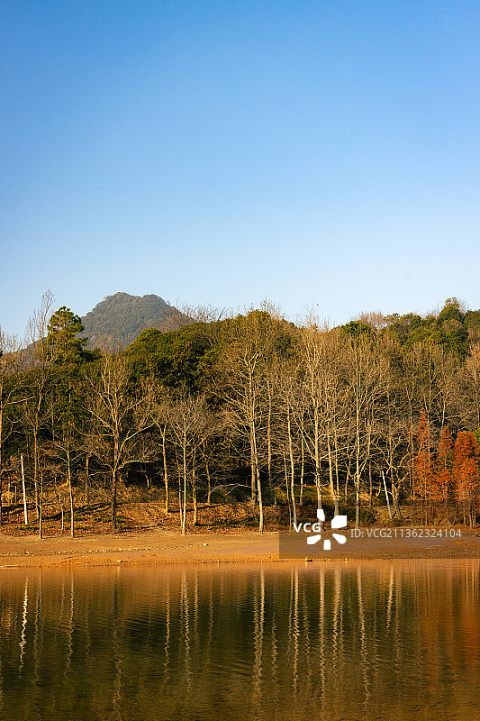 林场晨曦2图片素材