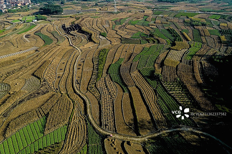 冬日田园美图片素材