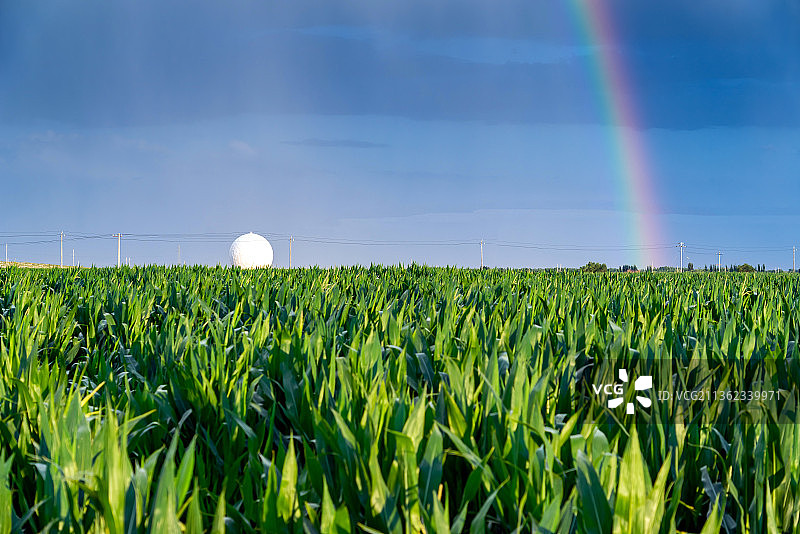 新疆巴音郭楞玉米农田圆球彩虹日落图片素材