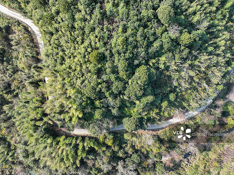 秋天乡村的村路图片素材