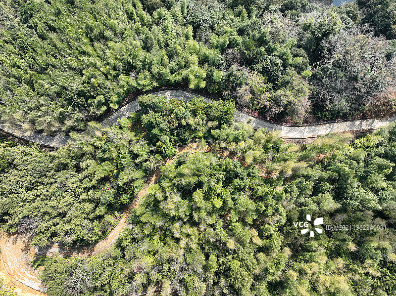 秋天乡村的村路图片素材