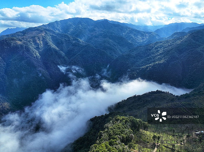 云南哀牢山云雾山中图片素材