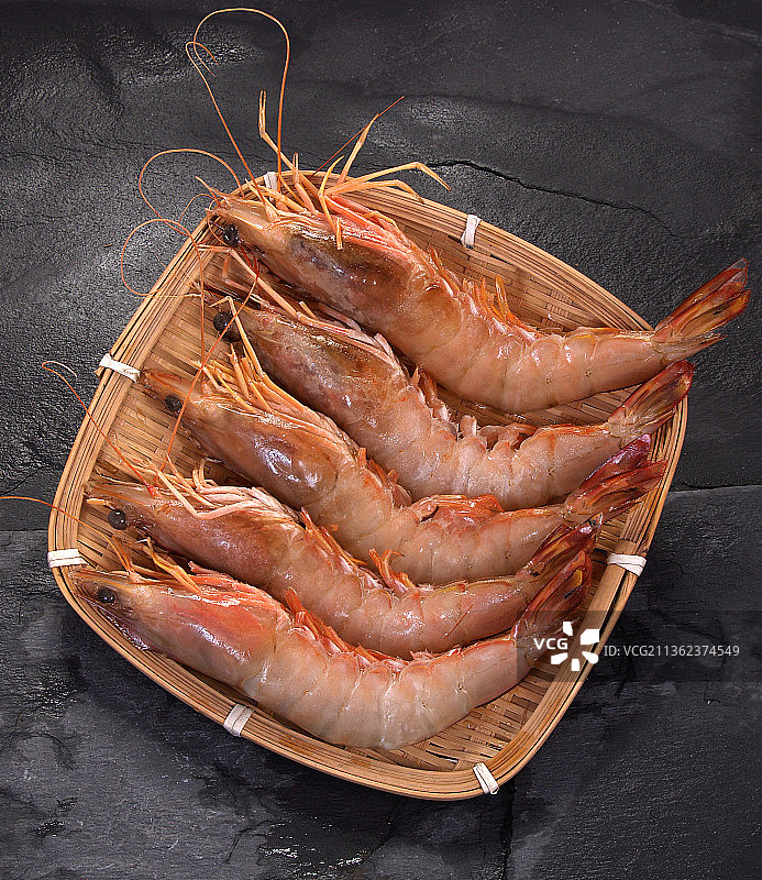 大海虾图片素材