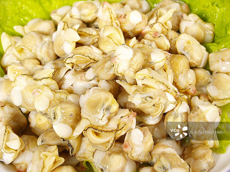 扇贝干图片素材