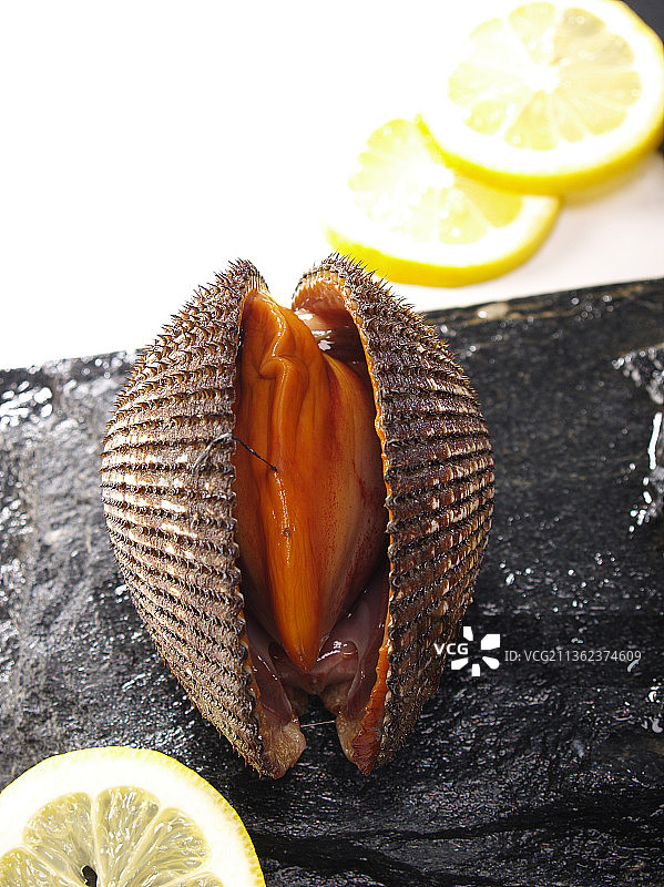 鲜活的赤贝图片素材